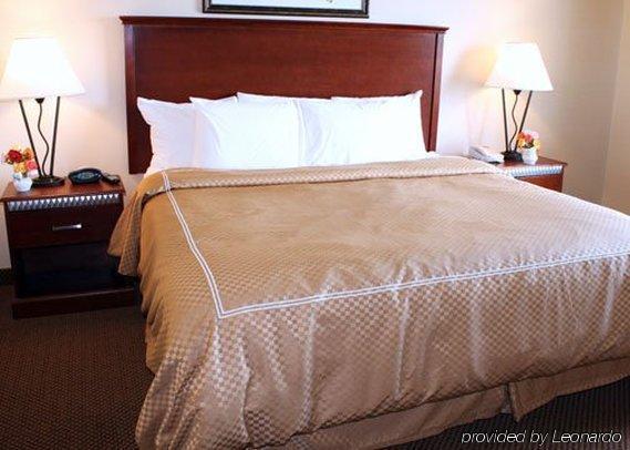 Comfort Suites Wixom / Novi Quarto foto